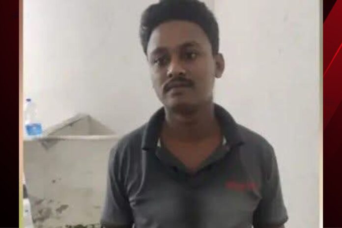 e55c35e4-457c-4a01-80a4-815255a3b7c7.png (5)