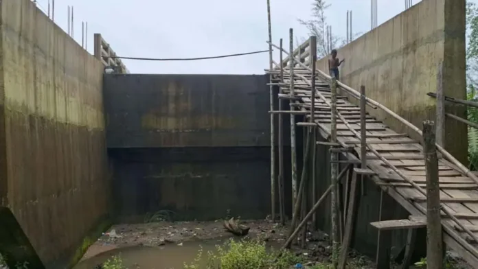 thumbnail-1755586110631-Untitled-2copy