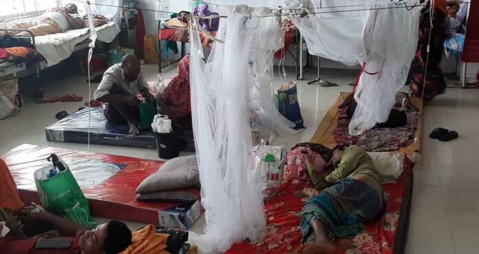 774441_20250904_160654651