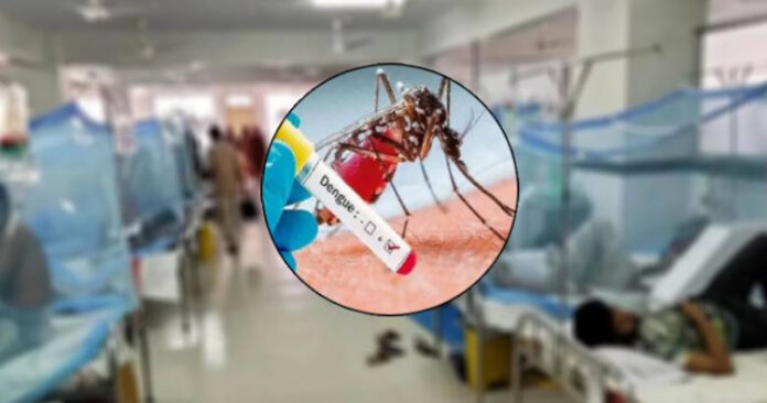dengue_1-2507040135