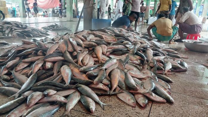 WhatsApp Image 2025-10-30 at 16.00.18_1d113991