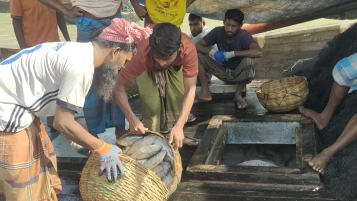 image_236560_1761885926