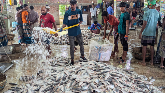 image_236581_1761897555