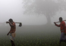 ৬ ডিগ্রির ঘরে তাপমাত্রা, ৪৪ জেলায় শৈত্যপ্রবাহ